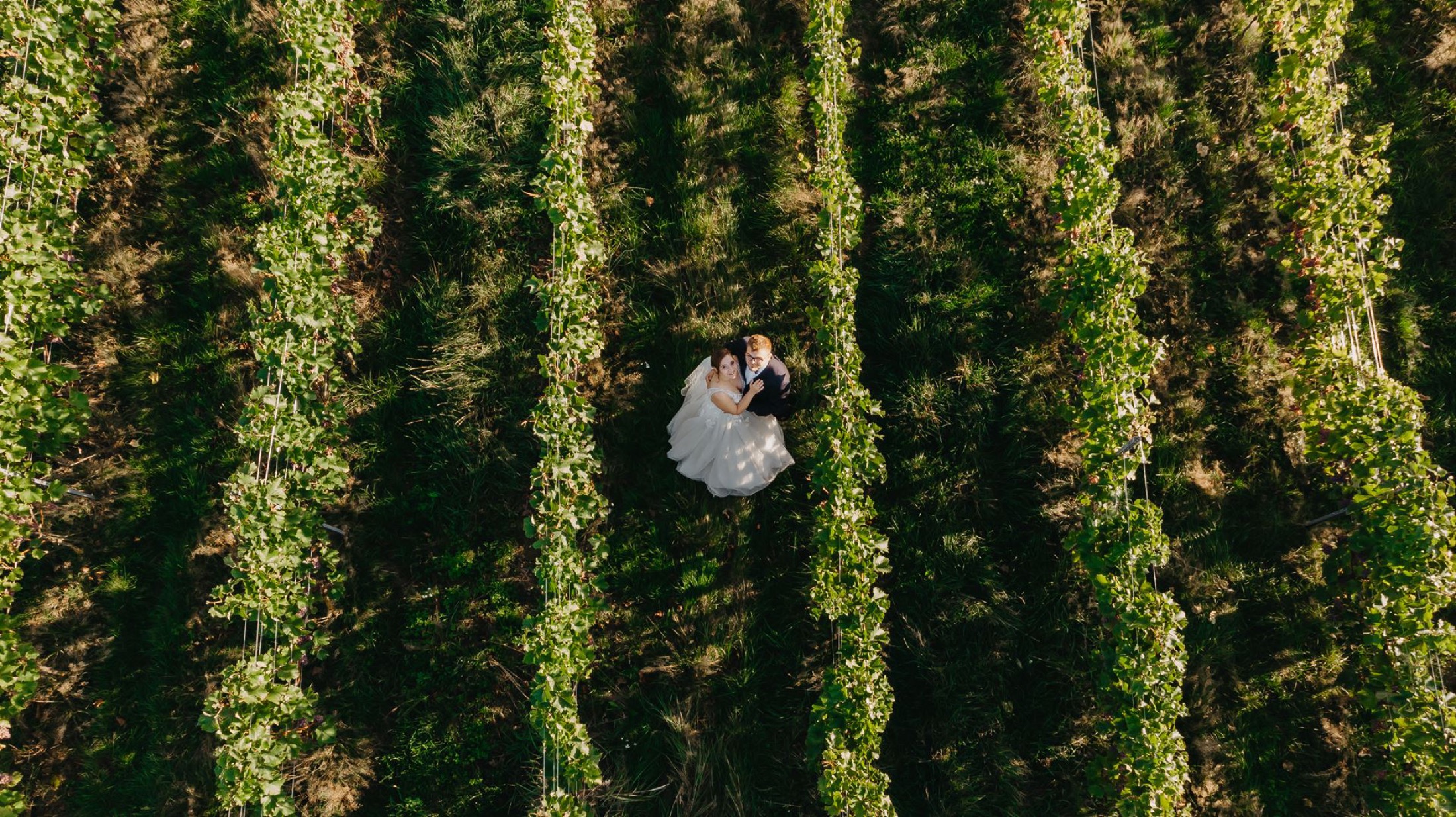 Fotografia dronem - ujęcia z powietrza podczas sesji ślubnej w Szczecinie